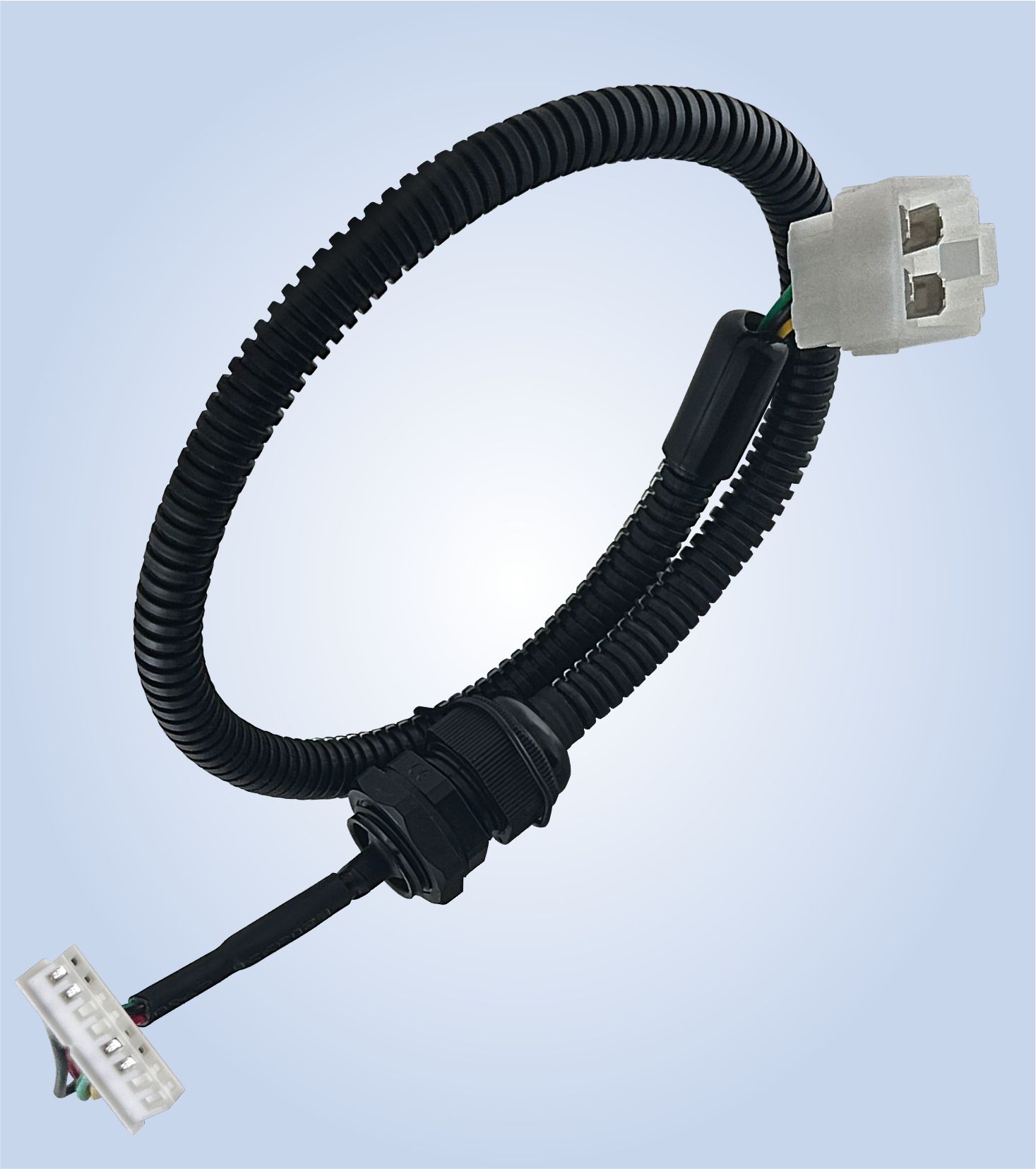 protfolio
